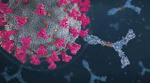 cancer vaccine