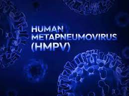 HMPV Virus